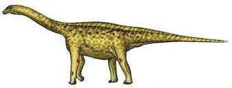 austrosaurus