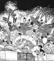 Furinkan High Poison garden