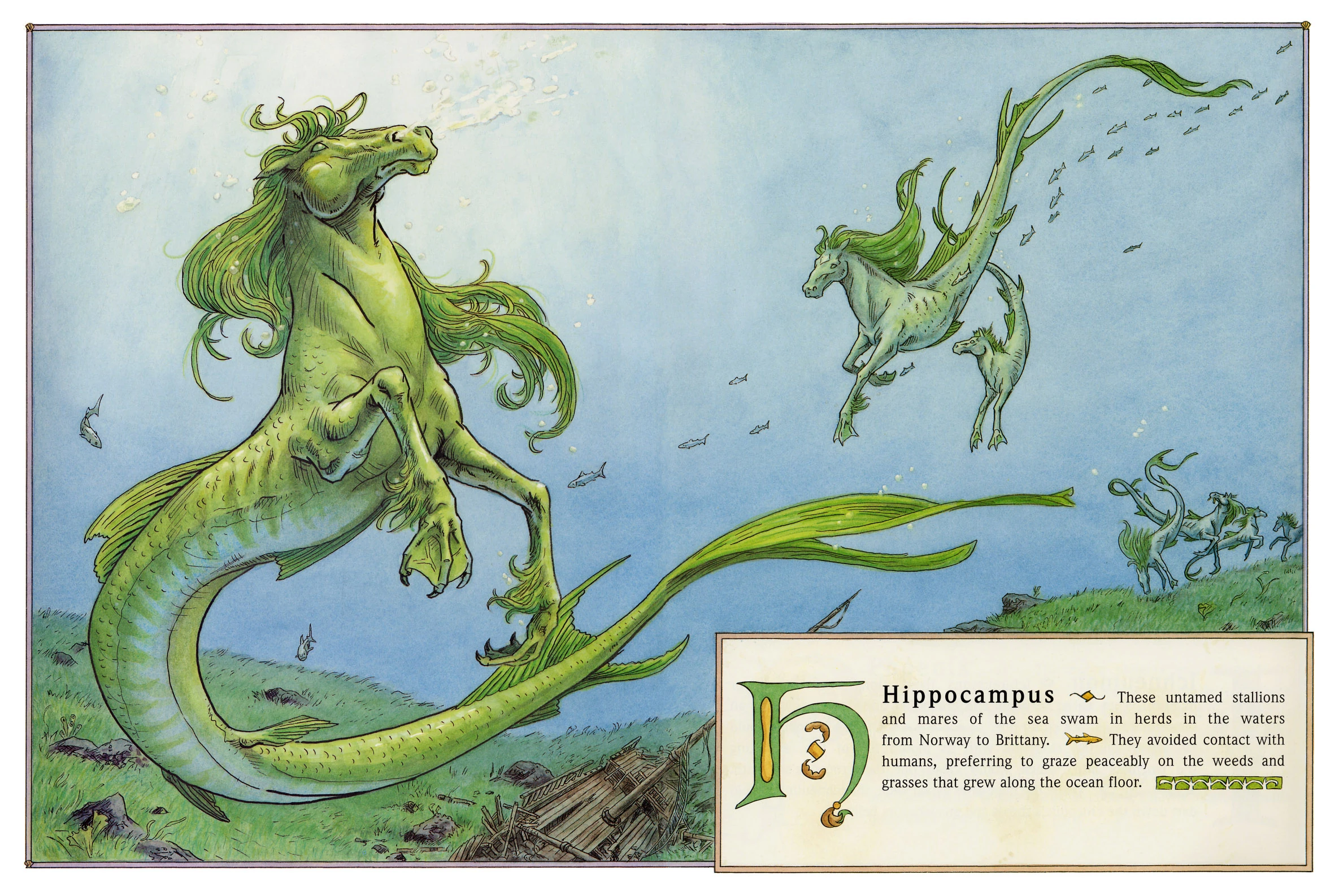 Hippocampus - Warriors Of Myth Wiki