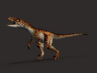 Raptoralpha