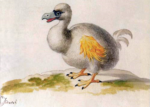 ice age dodo bird names