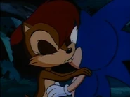 Sonicandsally