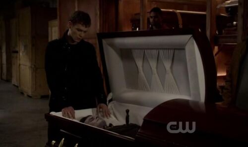 Silver Daggers - The Vampire Diaries Wiki