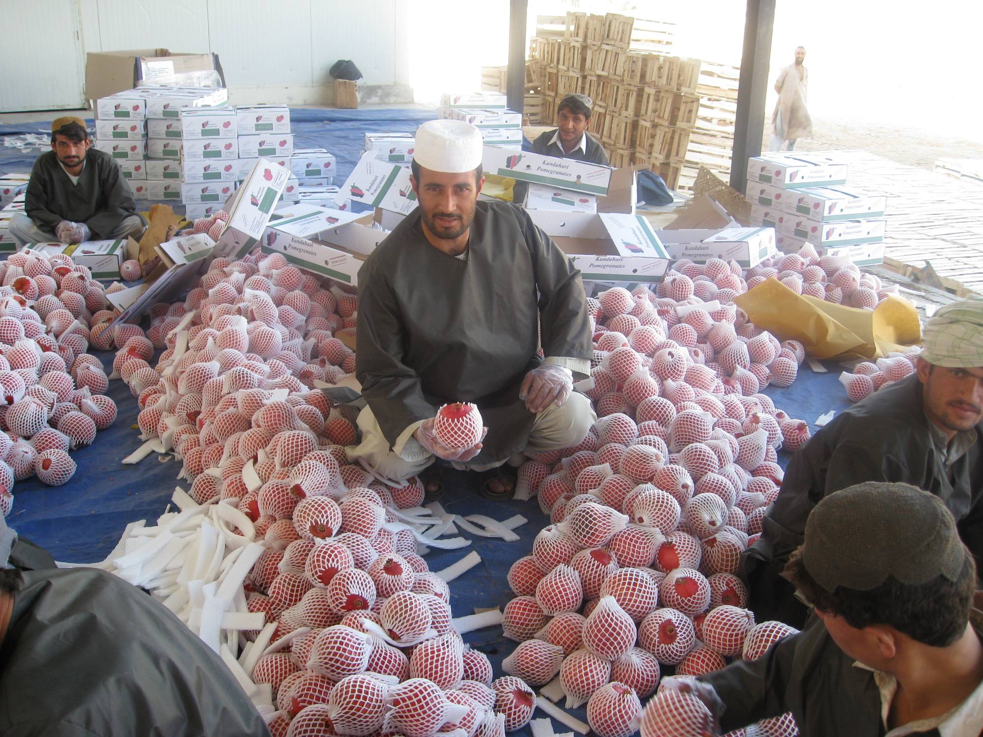 Afghan workers processing pomegranates.