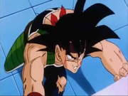 BardockReady