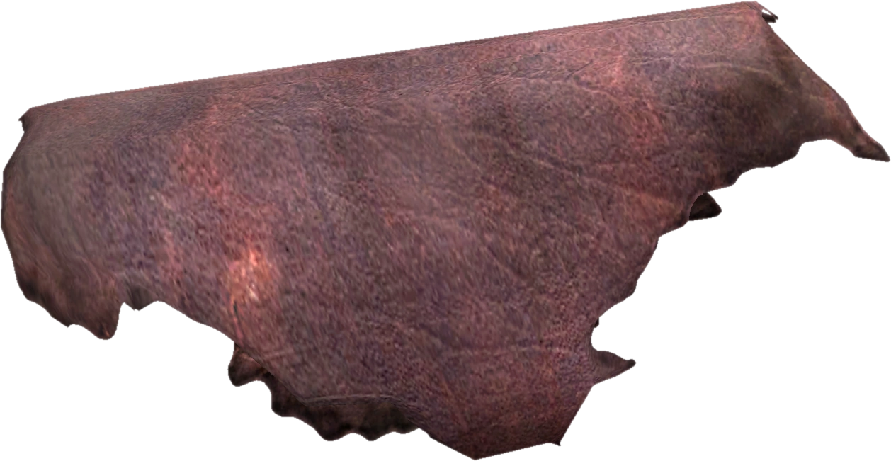 Leather (Skyrim) Elder Scrolls Wikia