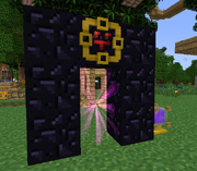Void-portal