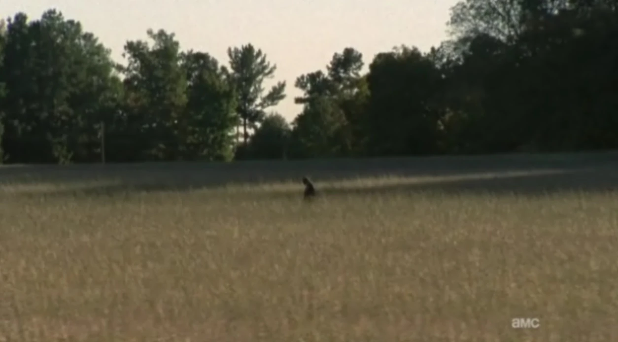 Image Field walker.jpg Walking Dead Wiki