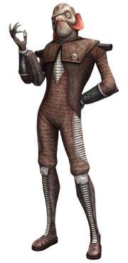 Major rigosso