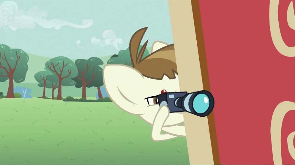 http://img1.wikia.nocookie.net/__cb20120402132907/mlp/images/3/3a/Featherweight_taking_pictures_S2E23.png