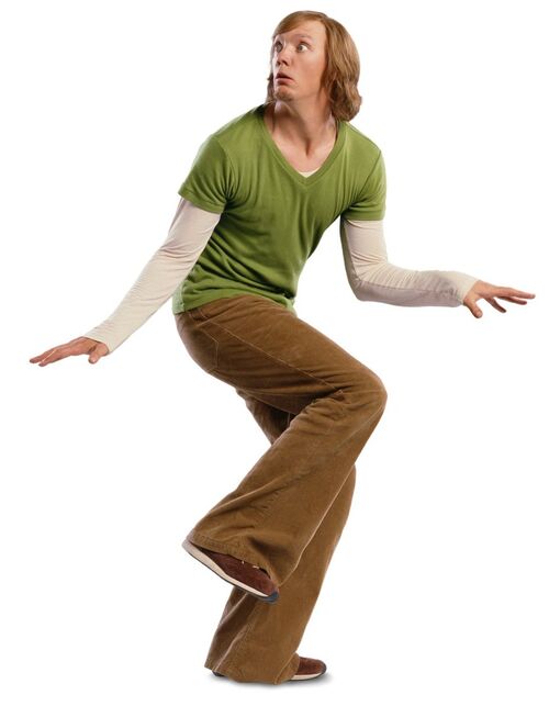 Shaggy Rogers Wiki Warner bros