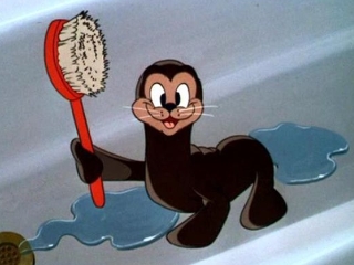 seal salty disney mickey mouse wiki wikia circus short