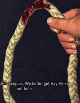 Rope