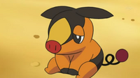 EP670 Tepig triste