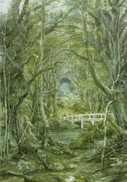 Bosque negro1