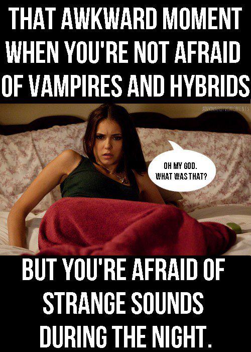tumblr themes relationship page the diaries TVD Funny Image Funny 500  vampire  25458903