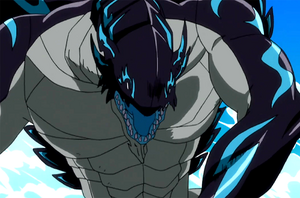 Acnologia profile proposal