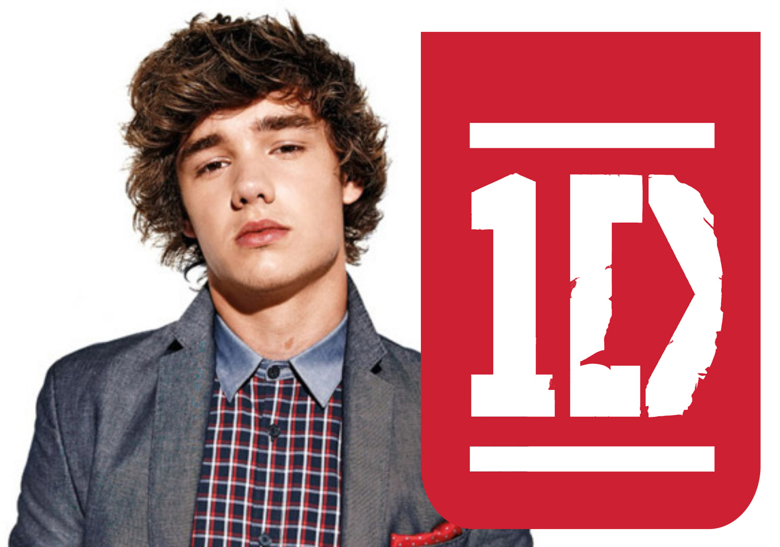 Bild - Liam-Payne-One-Direction.jpg – Glee Wiki - Glee Wiki - New ...