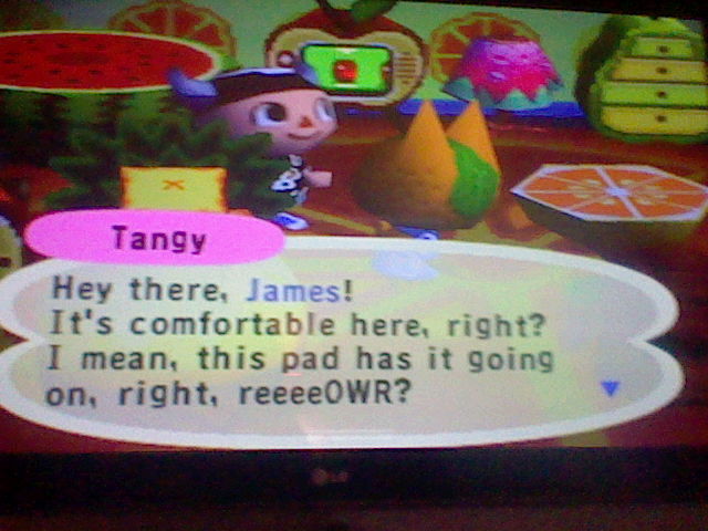 Tangy - Animal Crossing Wiki - Wikia
