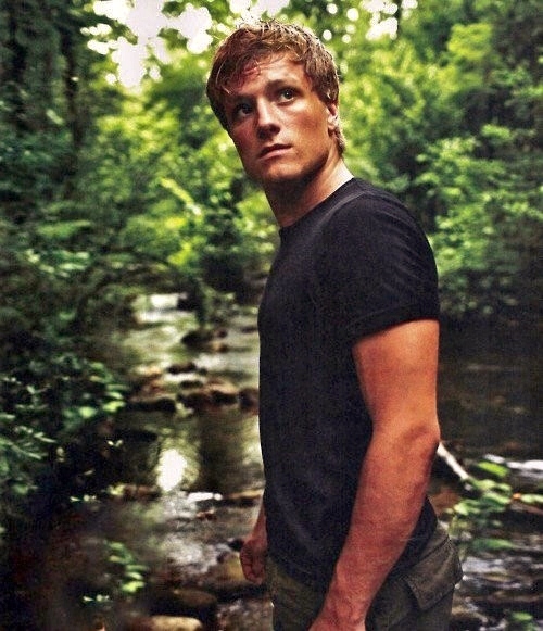 DateiJoshhutchersonplayingpeetamellarkthehungergamesdrivesmecrazy.jpeg Die Tribute DateiJoshhutchersonplayingpeetamellarkthehungergamesdrivesmecrazy.jpeg Die Tribute