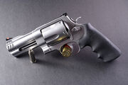 S&W 500 MAGNUM