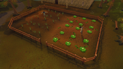 Rimmington field