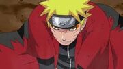 Naruto Sabio