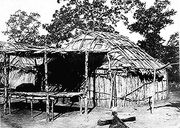 Ancient Wickiup