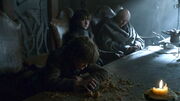 Rickon