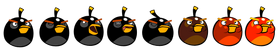 Black bird spirites