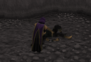 Feeding Cyrisus