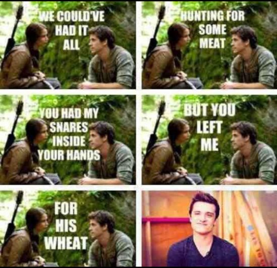 Image Gale Katniss Meme The Hunger Games Wiki 