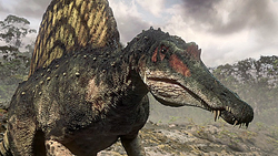 Pdspino