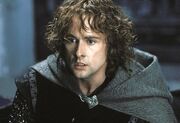 The-lord-of-the-rings-the-return-of-the-king-27-billy-boyd-peregrin-pippin-took