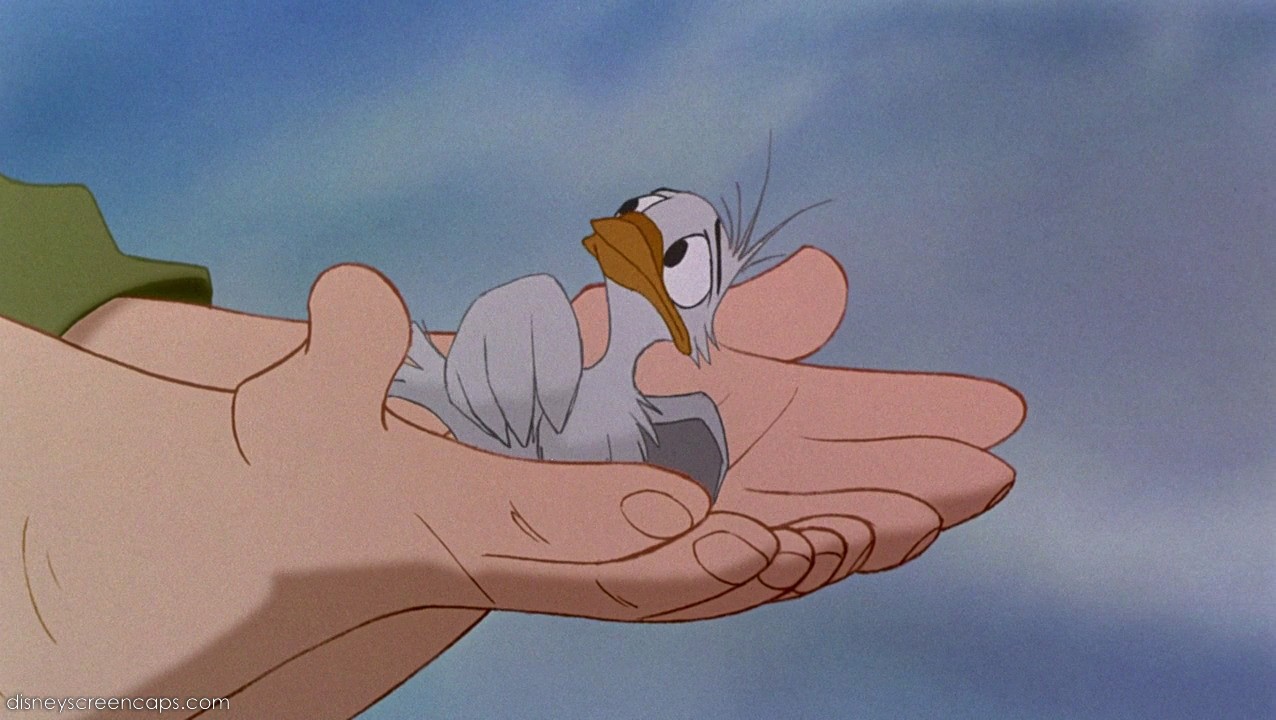 The Baby Bird - Japanese Anime Wiki