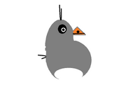 Grey bird