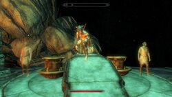 Falmer Servant