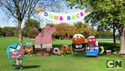 DumbRace