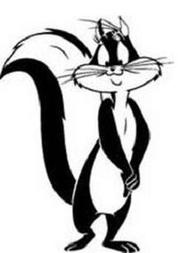 luny toons luny toons
