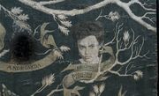 Беллатриса на семейном дереве Блэков