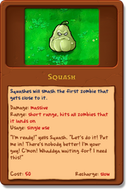 New Squash