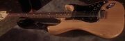 Ted guitar