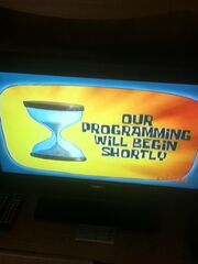 Bikini Bottom Public Access - Programs will begin shortly