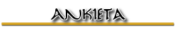 Ankietanag.png