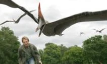 Pteranodon_15.jpg