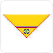 Lenço lider