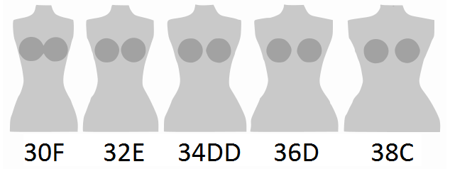 Cup_size_comparison_sister_sizes.png