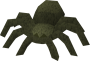 Eek pet