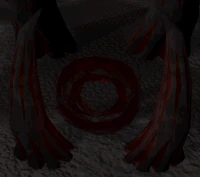 Shadow of the storm portal