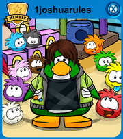 User Card